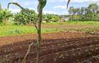 0.2 ha Residential Land at Three Dee Lane - 3
