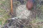 0.045 ha Land at Loitoktok Road Off Namanga Highway - 5