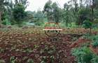0.125 ac Land at Off Ruaka Banana Road - 2