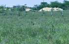 Land in Kitengela - 3