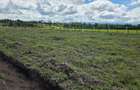 0.040 ha Residential Land in Nanyuki - 9