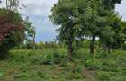 4.5 ac Land at Mtwapa - 3