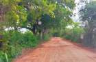 40 ac Land at Vipingo Kuruwitu - 6