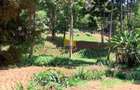 Land in Thigiri - 1
