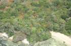 866,058 m² Commercial Land at Vipingo Beach - 9