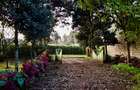 0.5 ac Land at Limuru A104/B3 - 4
