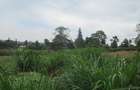 Land at Red Hill - 7