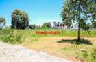 0.06 ha Residential Land at Ondiri - 4