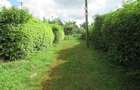 Residential Land at Gacharage Junction - 8