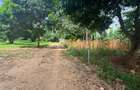 1.3 ac Residential Land at Kanamai - 7