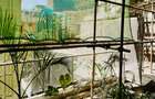 1 Bed Apartment with En Suite at 2026-518 1 Bed - 34