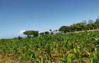 2 ac Land in Bofa - 7