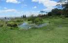 25 ac Land at Moi S Lake Rd - 9
