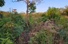 Land in Diani - 5