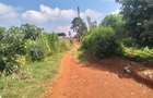 0.5 ac Land in Kitisuru - 4