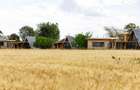 0.125 ac Residential Land in Nanyuki - 8
