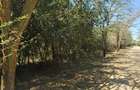 1.19 ac Residential Land at Mukoma - 3