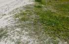 Commercial Land in Nyali Area - 4