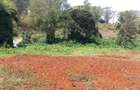 0.5 ac Residential Land at Muthithi - 4