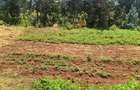 Land at Kibirichia - 15
