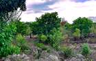 2,010 m² Residential Land at Second Row Kuruwitu Beach - 5
