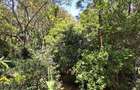 4 Bed House with En Suite in Lake View - 16