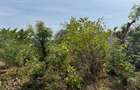 Land in Kilifi - 8