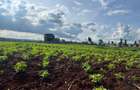 25 ac Land in Kitisuru - 5