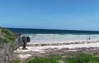 Land in Kilifi - 12