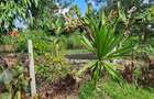 0.202 ha Residential Land at Rimpa - 15