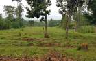 Residential Land at Mokoyot Close - 12