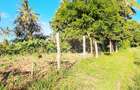 Land at Kwale - 13