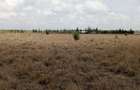 Land at Pipeline - 3
