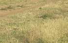 17 ac Land in Ongata Rongai - 6