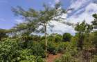 Residential Land at Galu - 3