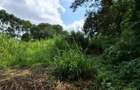 Commercial Land in Kitisuru - 8
