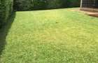 4 Bed Villa with En Suite in Kiambu Road - 8