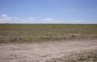 10 ac Land in Isinya - 4
