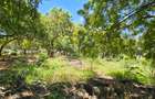 1 ac Land at Hemingways - 11