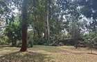 Land at Off Ridgeways/Kiambu Rd - 7