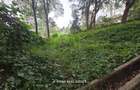 4.3 ac Land at Old Muthaiga - 6