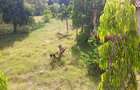 1 m² Land in Nyali Area - 1