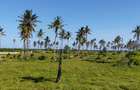 Land at Bofa Beach - 10