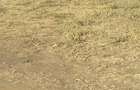 17 ac Land in Ongata Rongai - 4