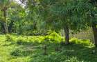 20 ac Land at Mtwapa - 7