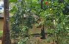 3 Bed Villa with En Suite at Kilifi - 16