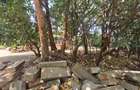Land at James Gichuru - 2