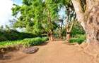 0.125 ac Residential Land in Ruiru - 8
