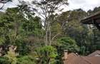 5 Bed House with En Suite at Lone Tree 55 - 18