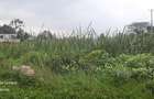 Land in Runda - 12